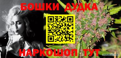 крисы Чебоксары