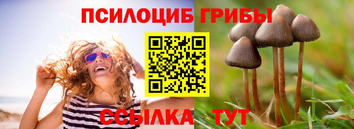 Псилоцибиновые грибы MAGIC MUSHROOMS Бердск